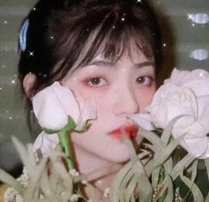 蒂莫西的奇异生活